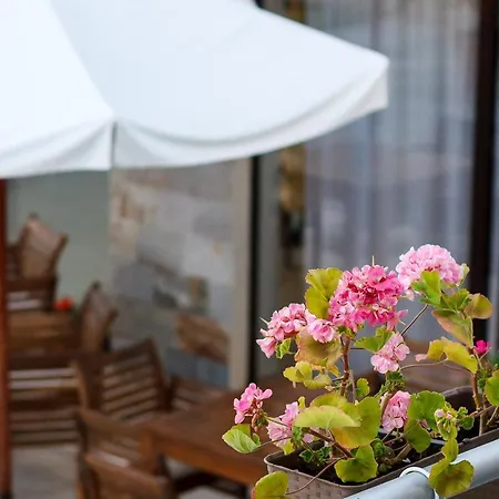 New Line Village Apartamento